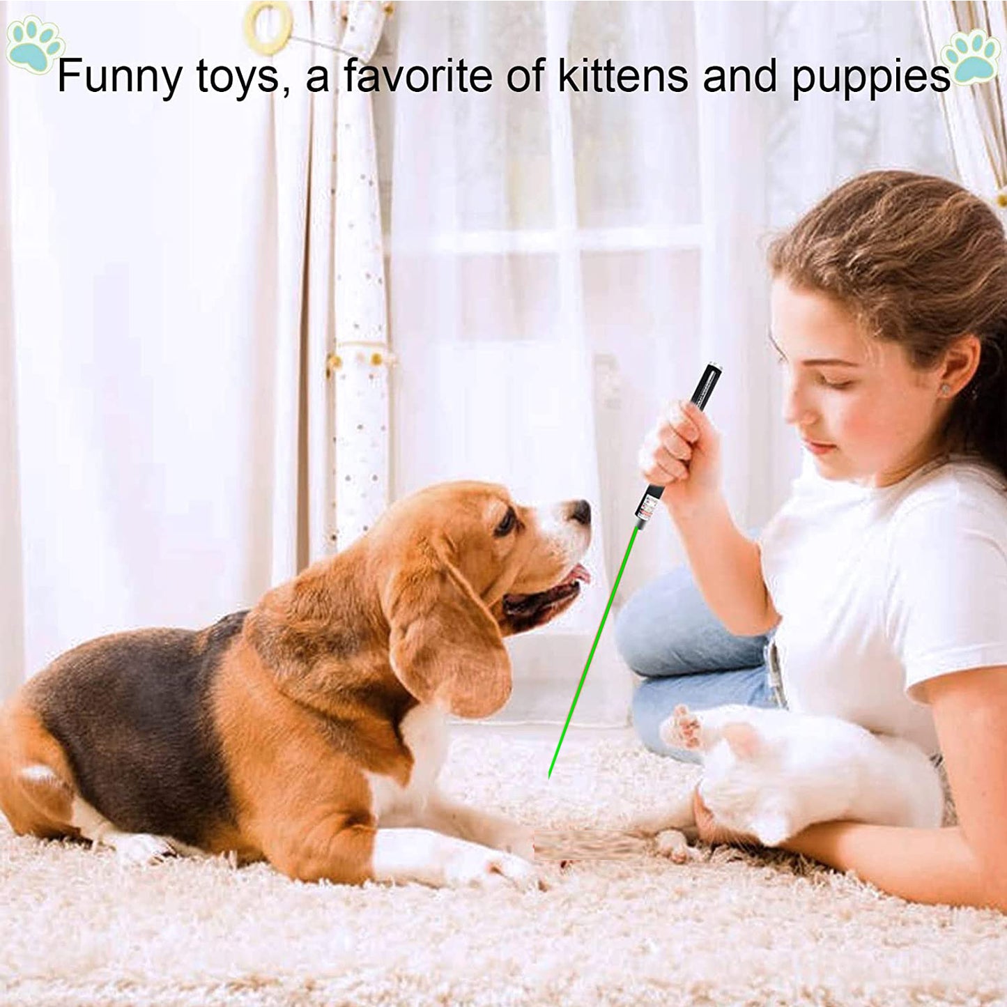 Green Laser Pointer